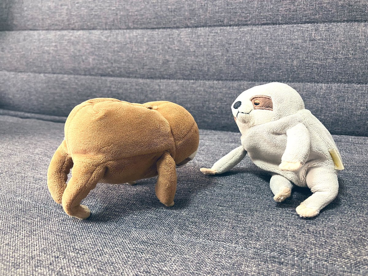 namuru_rururu's tweet image. なむるだよ。なつばてよぼうに、きんとれをはじめたけど…ぜんぜんできなかった🏋️🦥💦
まめちゃんは、うでたてふせがじょうずなのにっっ!!
#もちなまけ #なまけもの
