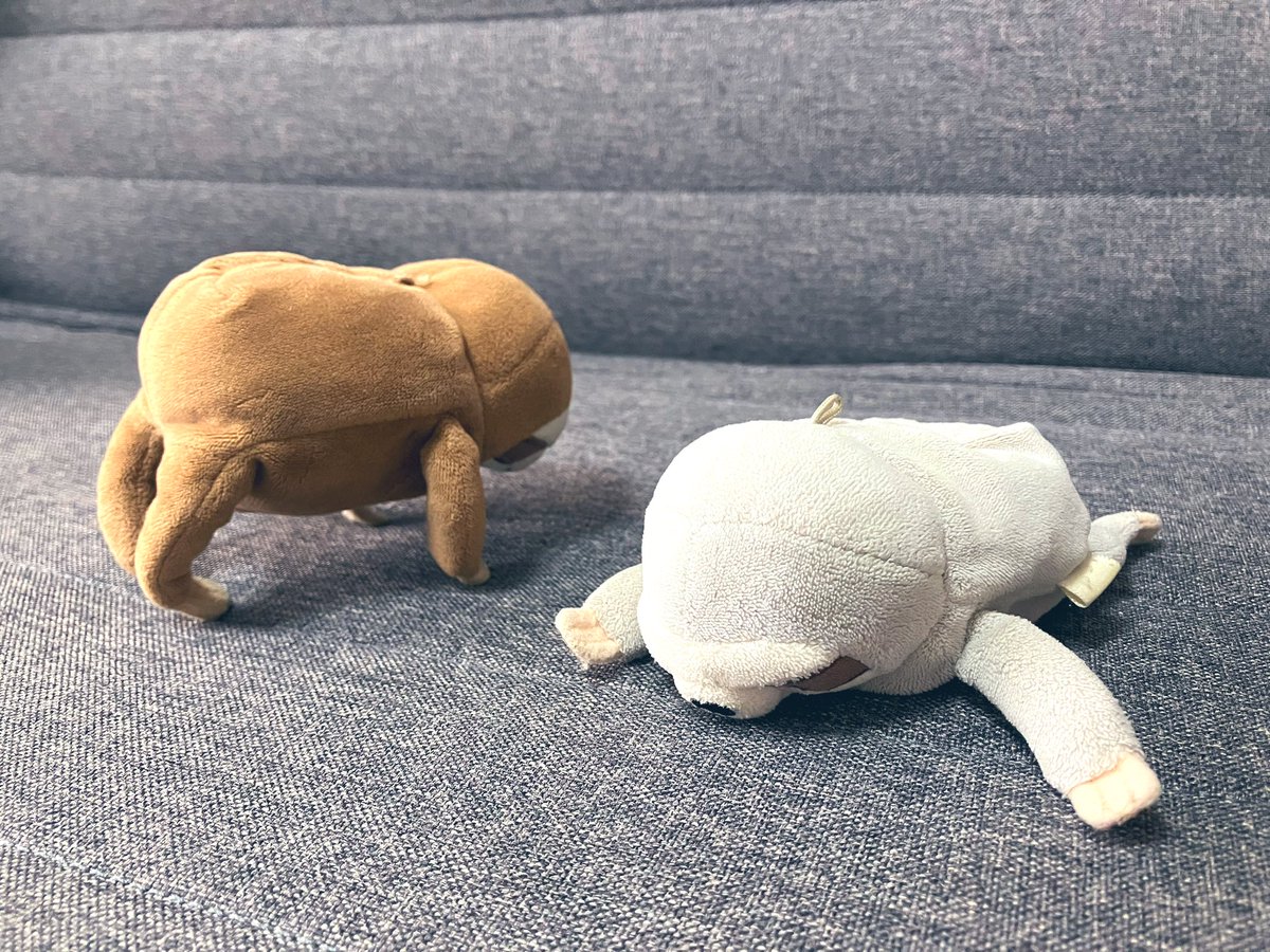 namuru_rururu's tweet image. なむるだよ。なつばてよぼうに、きんとれをはじめたけど…ぜんぜんできなかった🏋️🦥💦
まめちゃんは、うでたてふせがじょうずなのにっっ!!
#もちなまけ #なまけもの