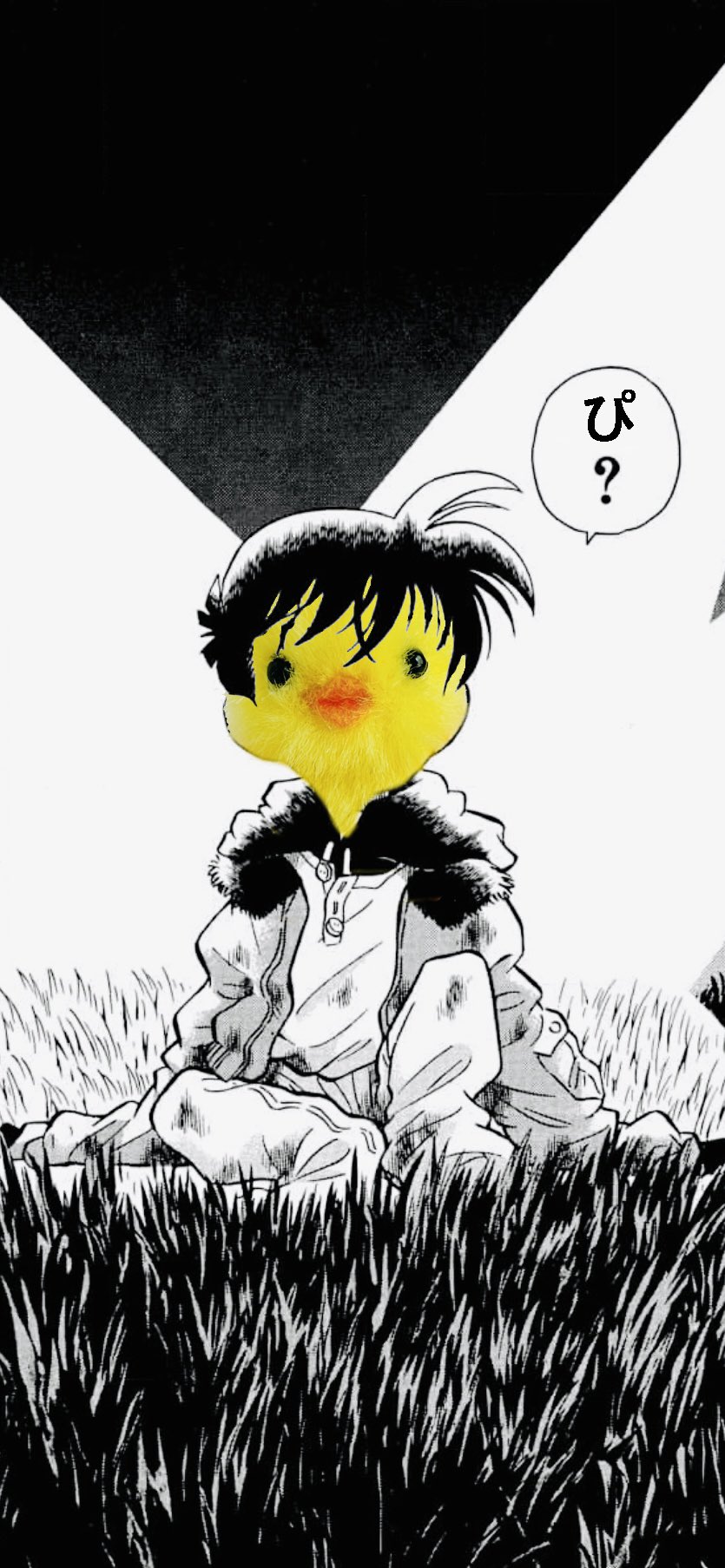 名探偵コナン　桃木月華 名探偵ｺﾅﾝ - Search / X