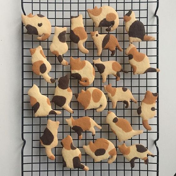 Cat shaped sugar cookies