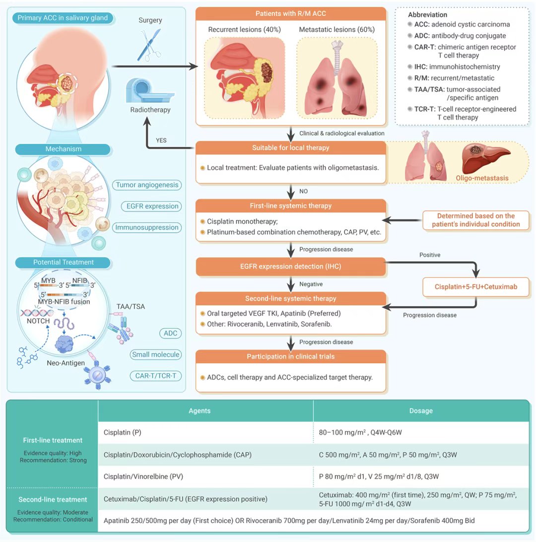 InnovSci's tweet image. 📢 The Innovation | First Clinical Guideline for R/M Adenoid Cystic Carcinoma (ACC)
A breakthrough for rare tumors: China's first practical guideline for recurrent/metastatic ACC sets new standards for systemic therapy. #TIC2025
🔗 sciencedirect.com/science/articl…
