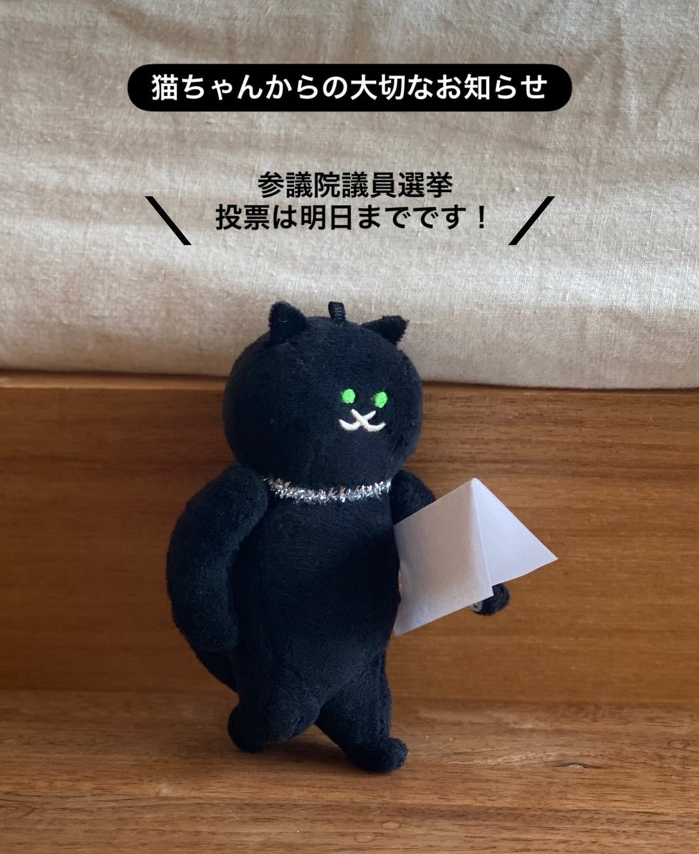 suimin_tter's tweet image. 📣🐱