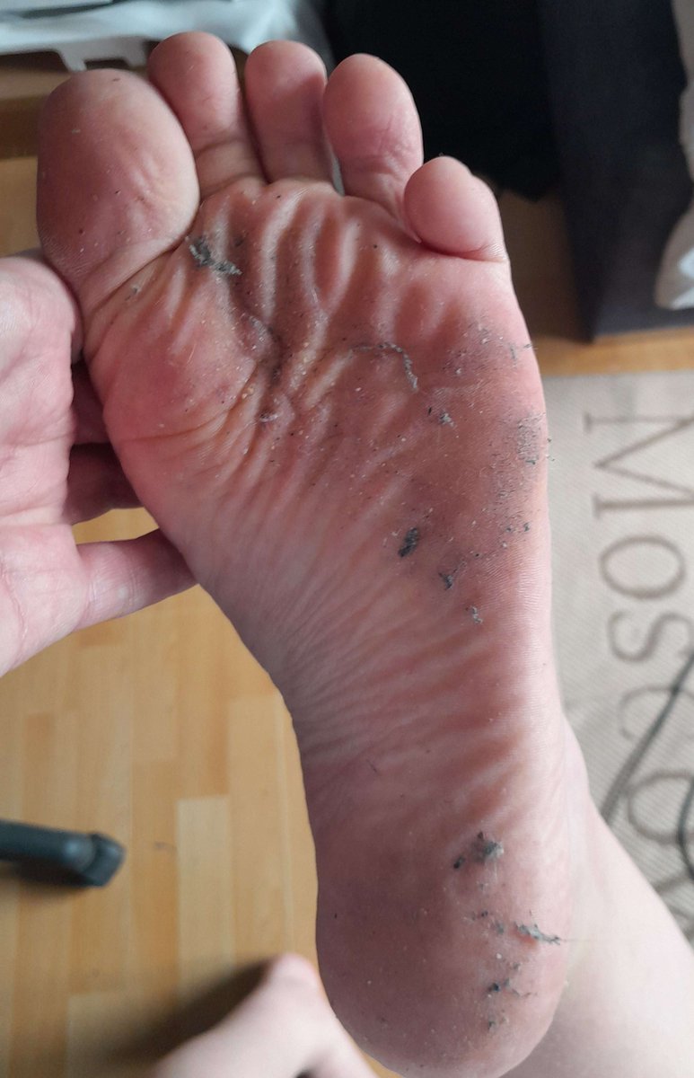 DboLsd's tweet photo. Embrace being a loser, embrace being true to yourself Only thing you will ever need in your life are my feet, shed any semblance of humanity that you have left
Become my dog 
Kiss the screen
Live for me
Be 𝑀𝐼𝒩𝐸 https://t.co/93E28lciVR