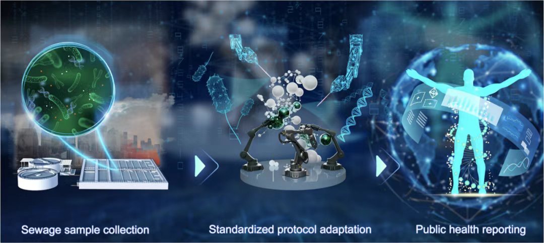 InnovSci's tweet image. 💧 The Innovation | Health Signals in Sewage
Can wastewater reveal the spread of antibiotic resistance? #TIC2025
🔗 sciencedirect.com/science/articl…
