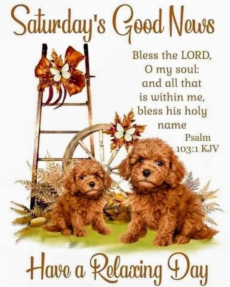 Good morning 🙏