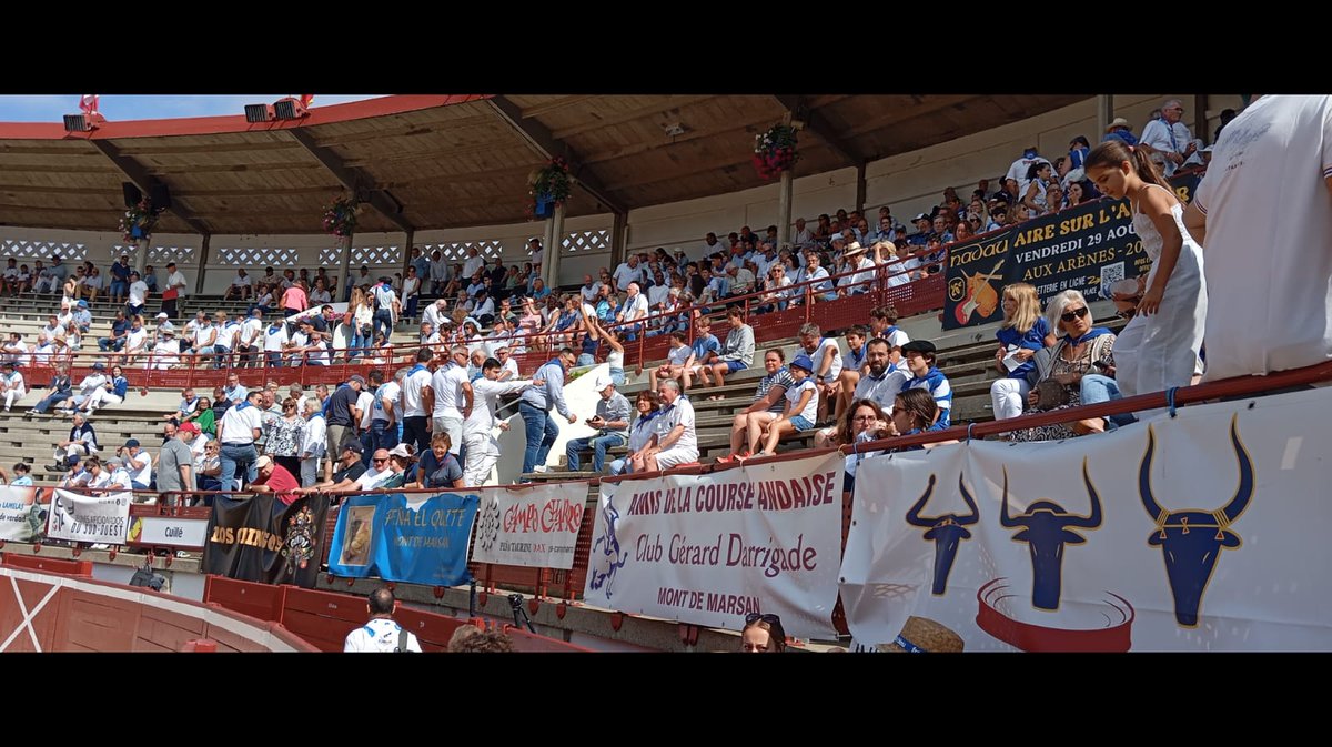 En place à Mont de Marsan pour la novillada de la Madeleine. Novillos de Cuillé pour Aarón Palacio, El Mene et Martin Morilla.