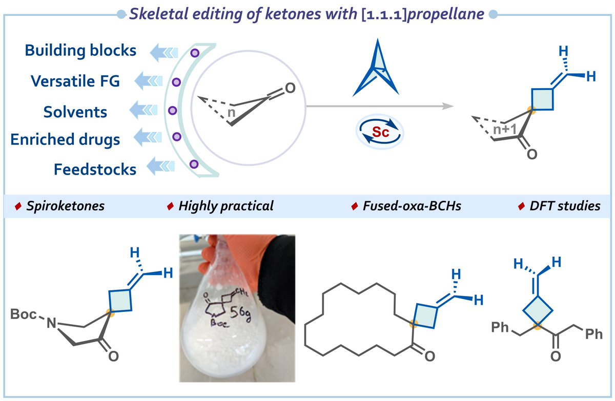 HariGroupIISc's tweet image. 🚀Skeletal editing of ketones using [1.1.1]propellane to access functionalized MCB-ketones and spirocyclic scaffolds is out @ChemRxiv. A fantastic collaboration with @MykhailiukChem. Thank you, @ANRFIndia and @iiscbangalore, for the financial support. chemrxiv.org/engage/chemrxi…