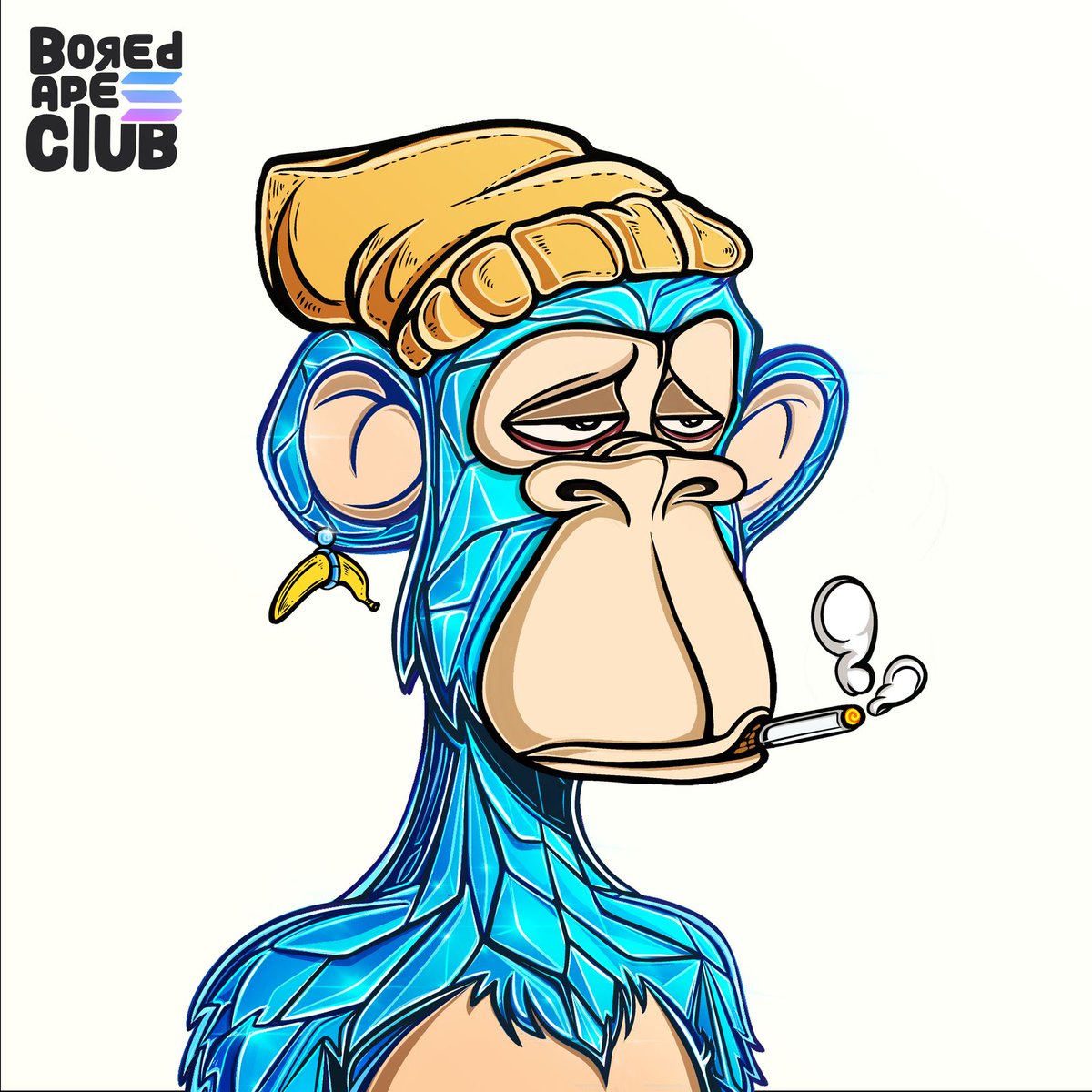 CryptoWDutch's tweet image. GM to all the apes 👌

Stay strong together 💯