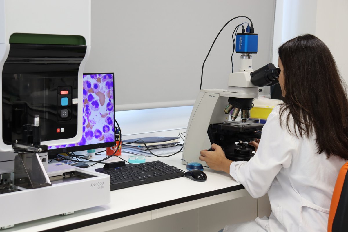 🫀<a href="/Salud_JCYL/">Salud JCYL</a> promueve un Centro en Red de Terapias Avanzadas con universidades e Institutos de Investigación Biosanitaria para impulsar la medicina del futuro

👨‍🔬Diseña una estrategia para potenciar la innovación y ofrecer una sanidad más resolutiva

comunicacion.jcyl.es/web/jcyl/Comun…