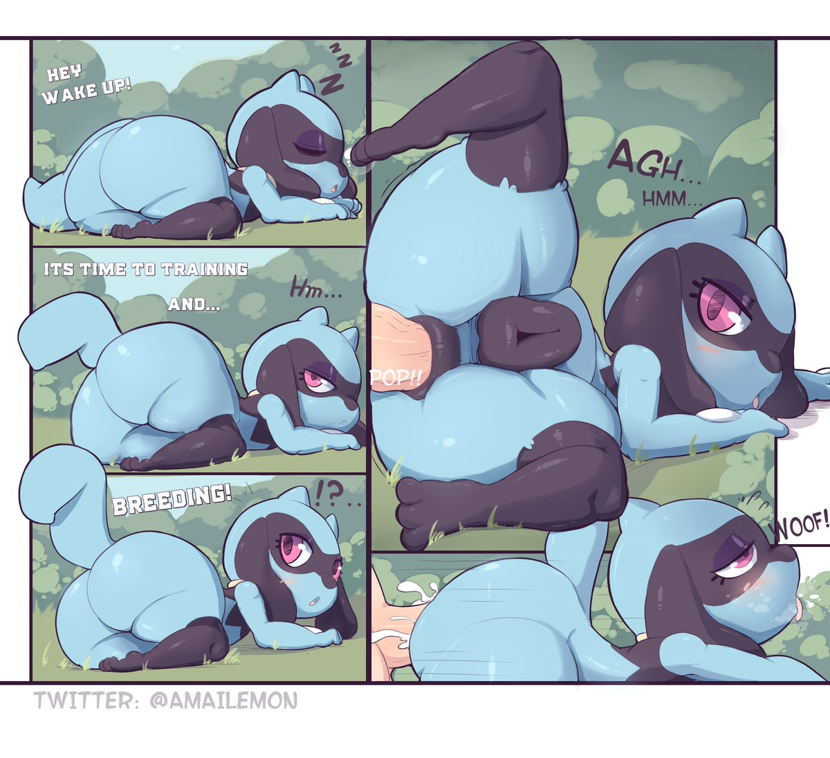 Riolu's training -u-