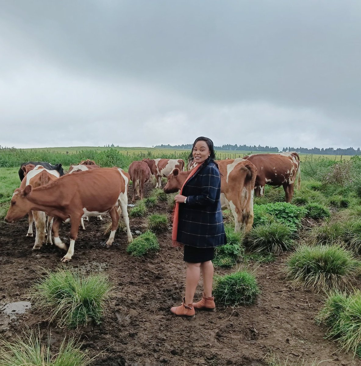 Not even the Mau-Narok cold can chill this kind of love.
#Loveforcattle
#WeekendVibes