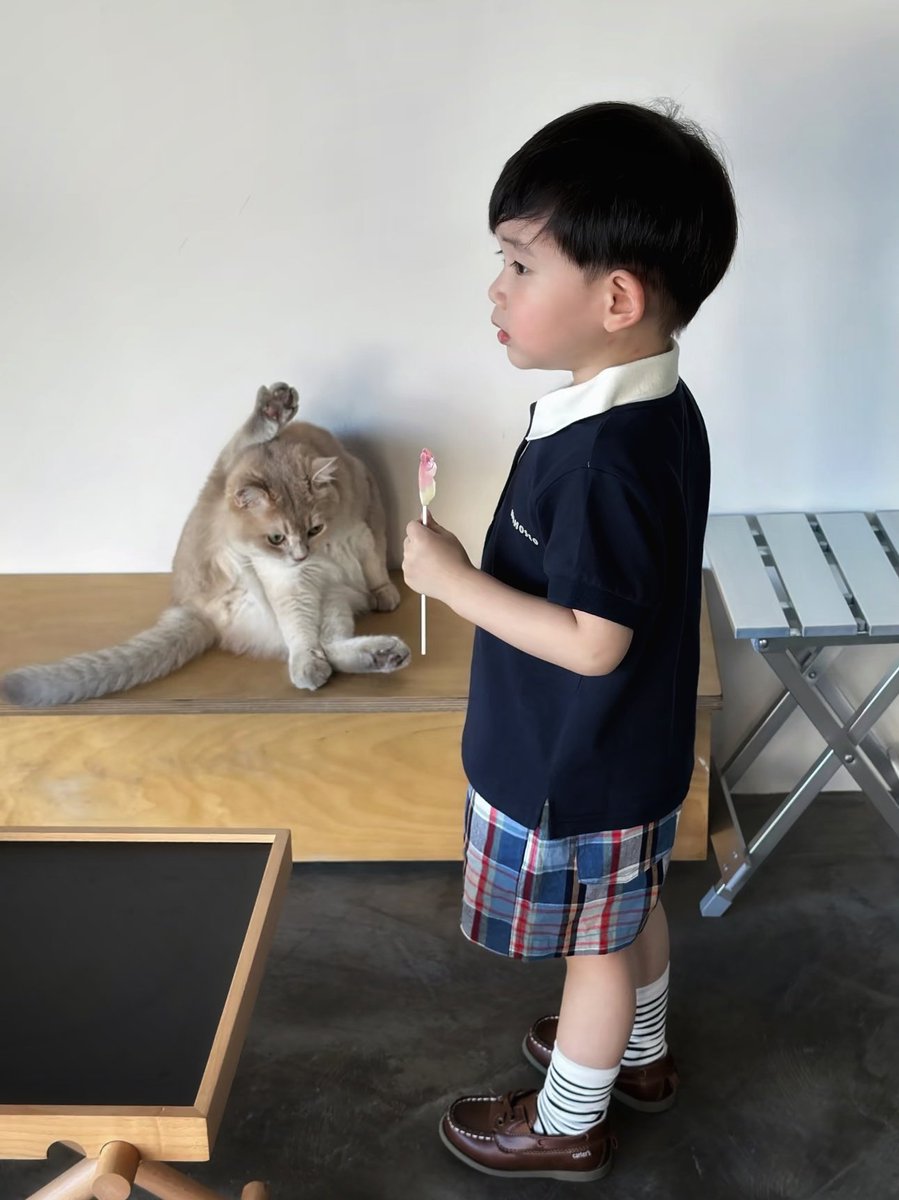 keanokang's tweet image. ⠀
Have I told you that William is a little bit talkactive and free spirit? He will greet anything─exactly anything─around him although he will a bit shy at first. Then, here goes a cat.

"Hi. What chu doing? Looking for food? Want some candies? Where is your Mom and Dad?"
⠀