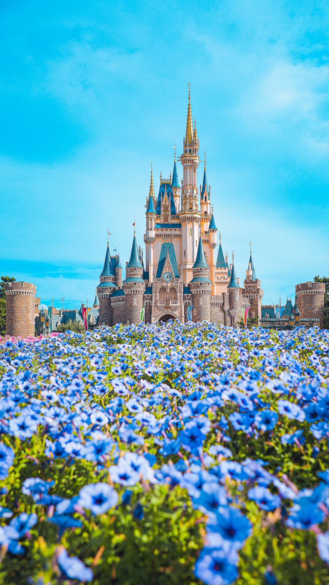 東京ディズニーランド Celebrate! Tokyo Disneyland！東京ディズニーランド ナイト