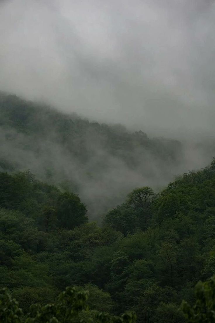 elemmiressoul's tweet image. misty.