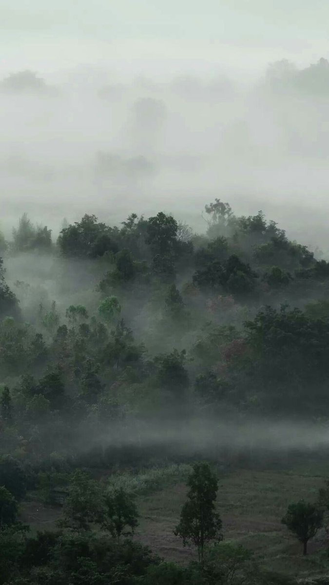 elemmiressoul's tweet image. misty.