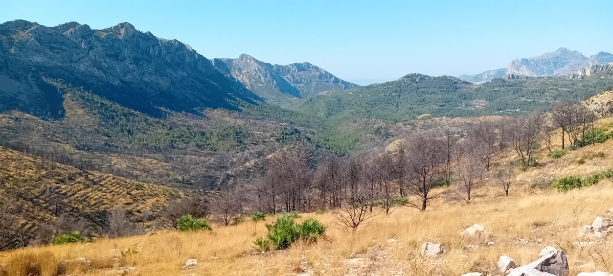 AMGVA's tweet image. Vista del incendio del año pasado de Tarbena 14/04/2024 por negligencia agrícola.