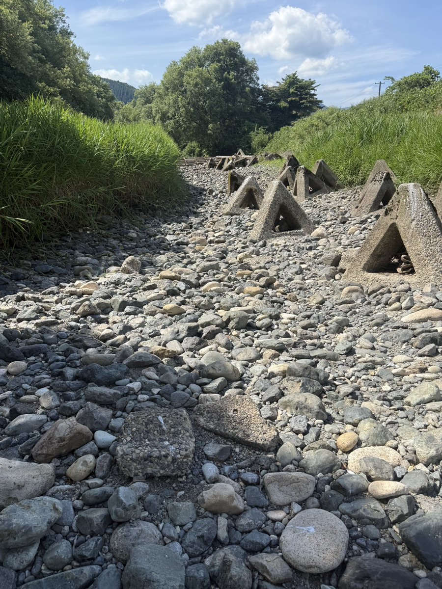 tomoniine's tweet image. 雨が降らなさすぎて川が無くなった
気候がヤバすぎる！