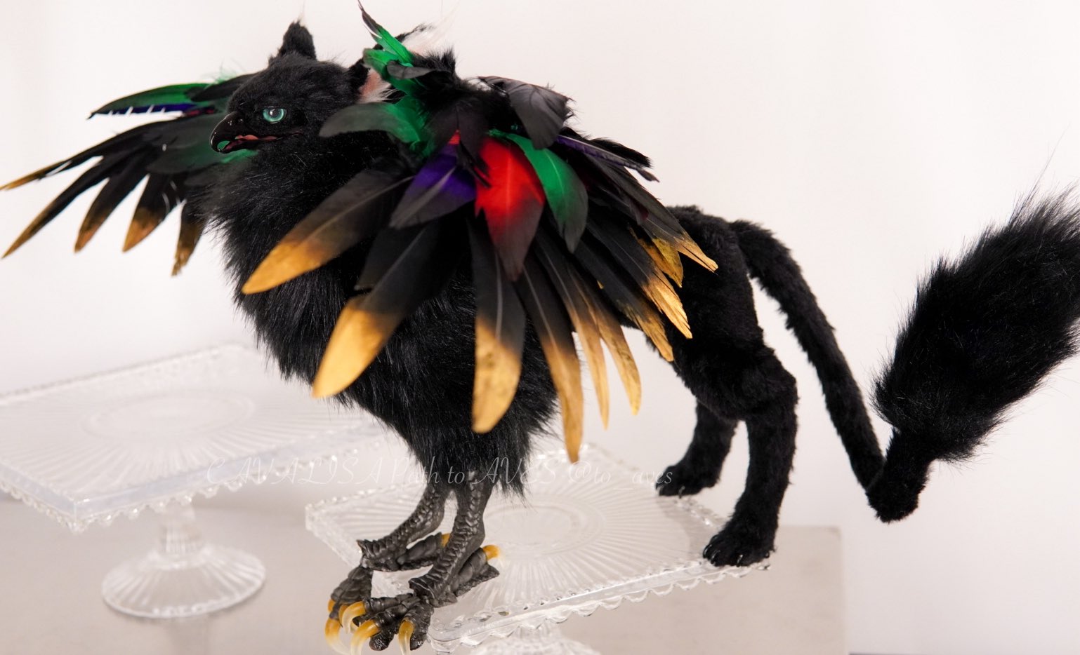19．アートドール☆cocoperi1984☆カドブレパス（※B品です） artdoll - Search / X