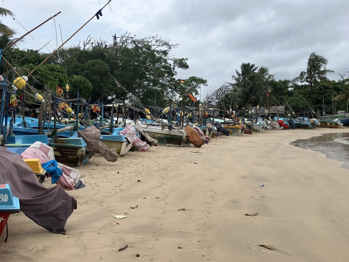 World Challenge at Bolton School Girls' Division tweet media