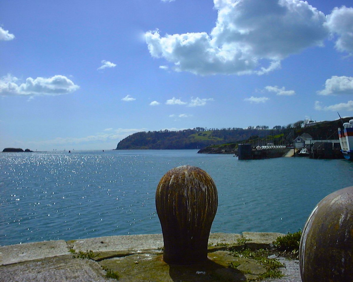 Geddon Plymouth 💚 tweet media