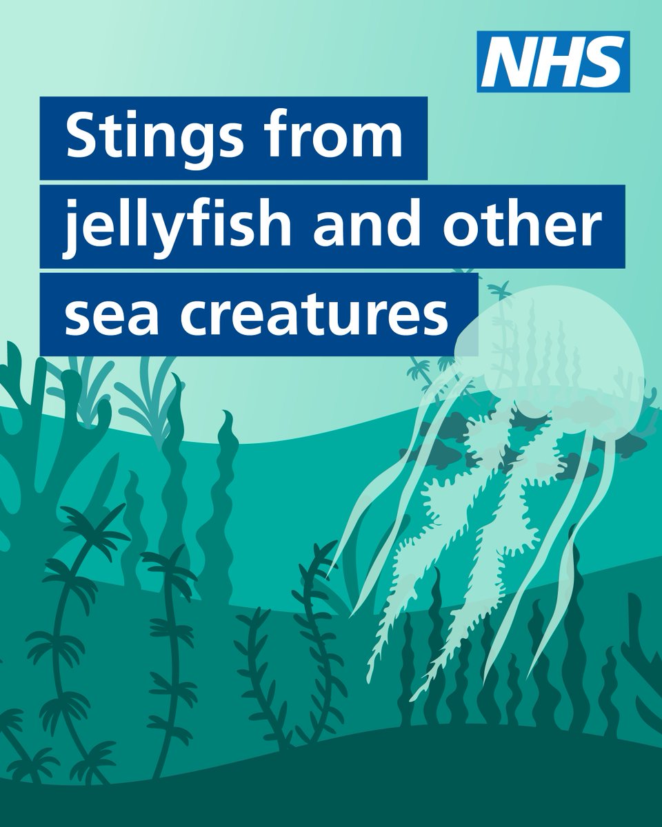 NHSuk's tweet image. Planning to visit a beach this summer?
See our advice on what to do if you or someone you're with is stung by a sea creature, and when to get medical advice.
nhs.uk/conditions/jel…