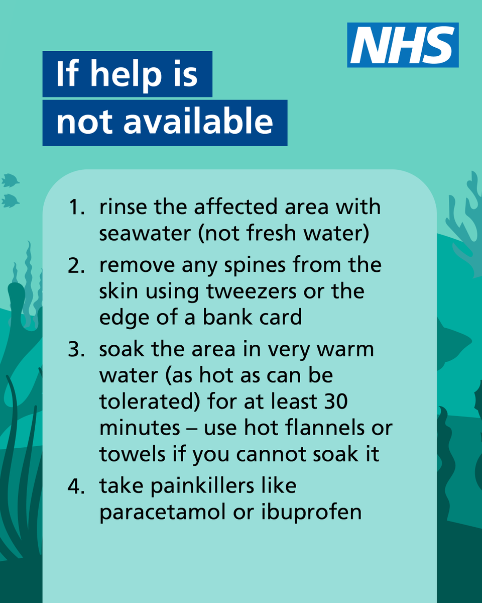NHSuk's tweet image. Planning to visit a beach this summer?
See our advice on what to do if you or someone you're with is stung by a sea creature, and when to get medical advice.
nhs.uk/conditions/jel…
