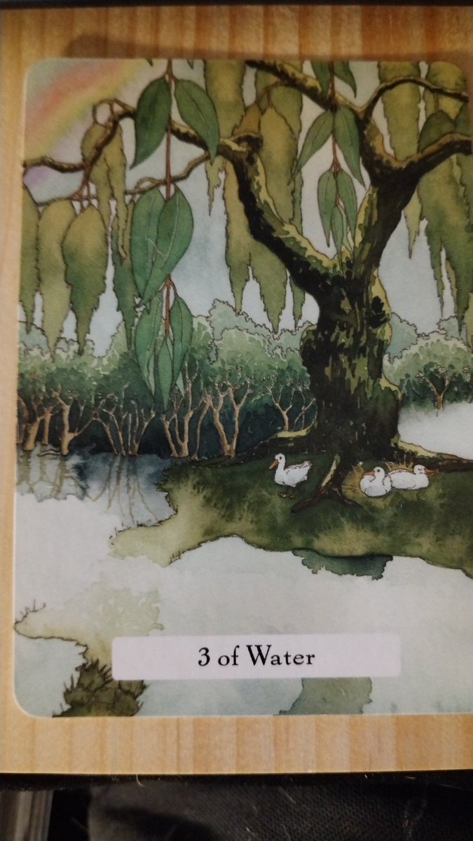 JennMitchell3rd's tweet image. #tcotd 3 of Water. Three ducks sleep soundly on the bank of the river. Take your moments of peace and enjoy them. Even a moment does your soul good.
#witcheswisdomtarot