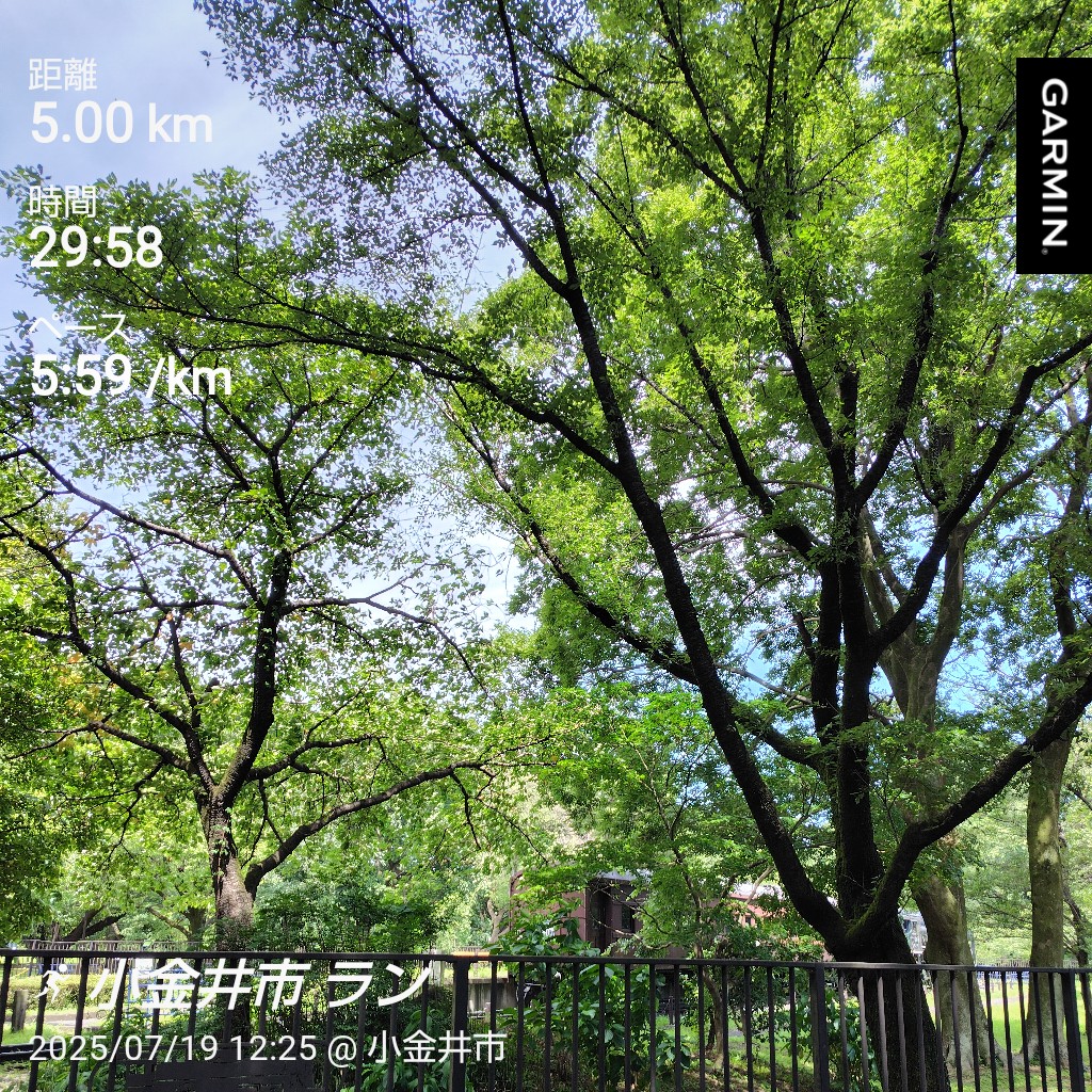 滝汗かいて、シャワーでスッキリが気分いいですね！
明日は早起きして走りたい！