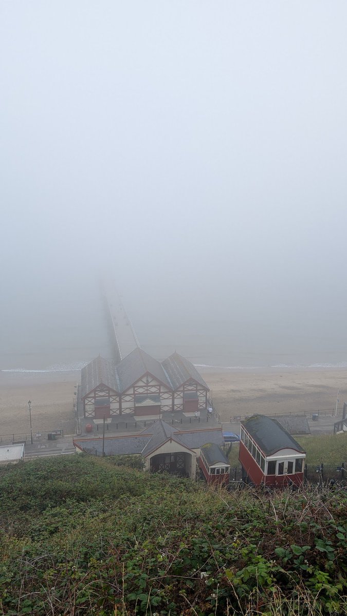 animturnbull's tweet image. It&apos;s giving Silent Hill..
