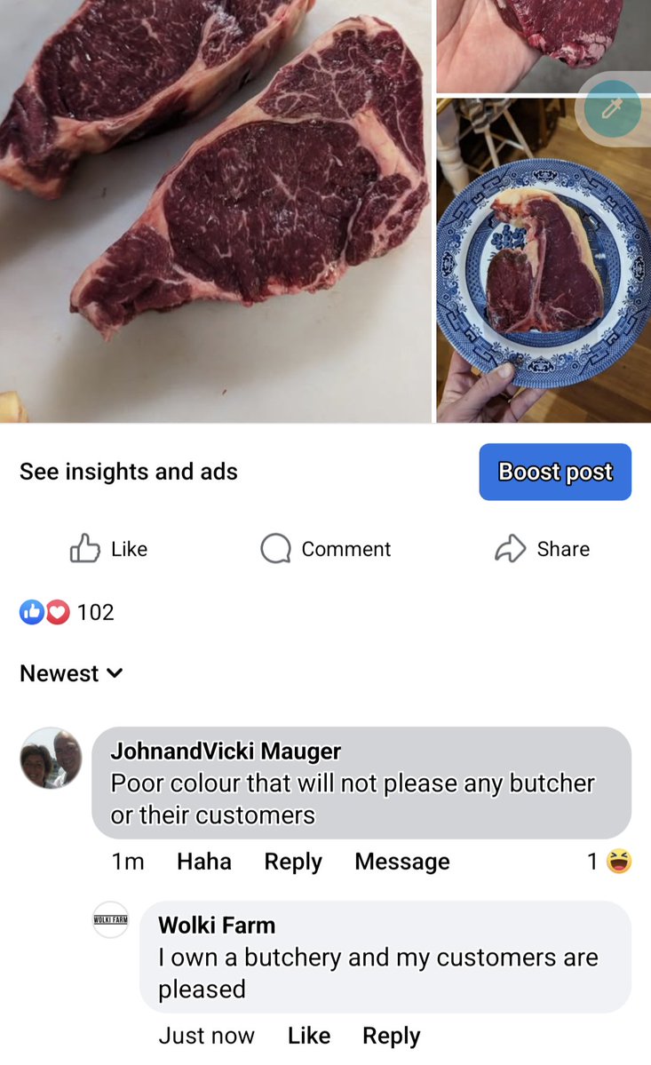 JakeWolki's tweet image. Logistically it'd be a bit of a nightmare, but I'd love to sell meat based on breed, sex, age and finishing diet.
Visit the website and be able the buy "2022 Nguni X Shorthorn Steer, finished on native pasture"
Or
"2019 Dexter X Jersey Cow, finished on Lucerne and clover"…