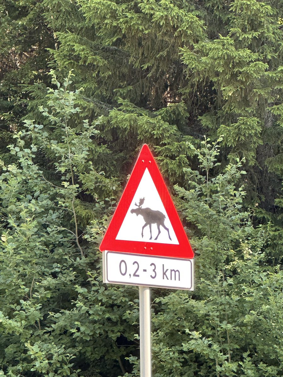 TheFangGroupUiO's tweet image. North of Norway- Day 7

Encounting a moose family:)
