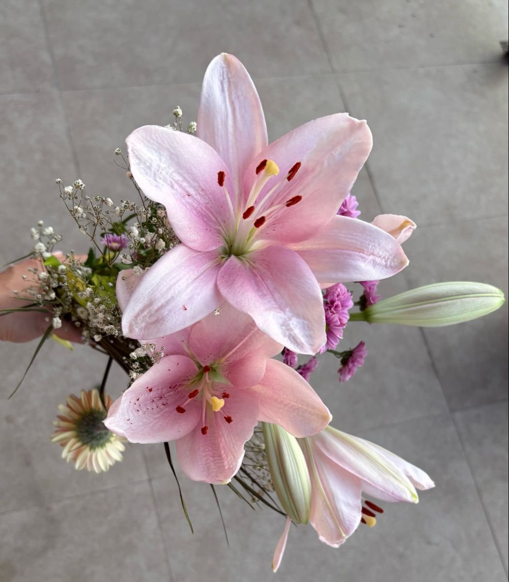 ETHEREALPRADA's tweet image. 🐇♡₊˚ ・₊✧ · ⋆｡𖦹