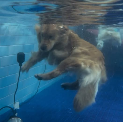 Areana Levann tweet media