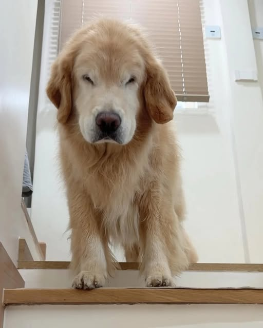 Areana Levann tweet media