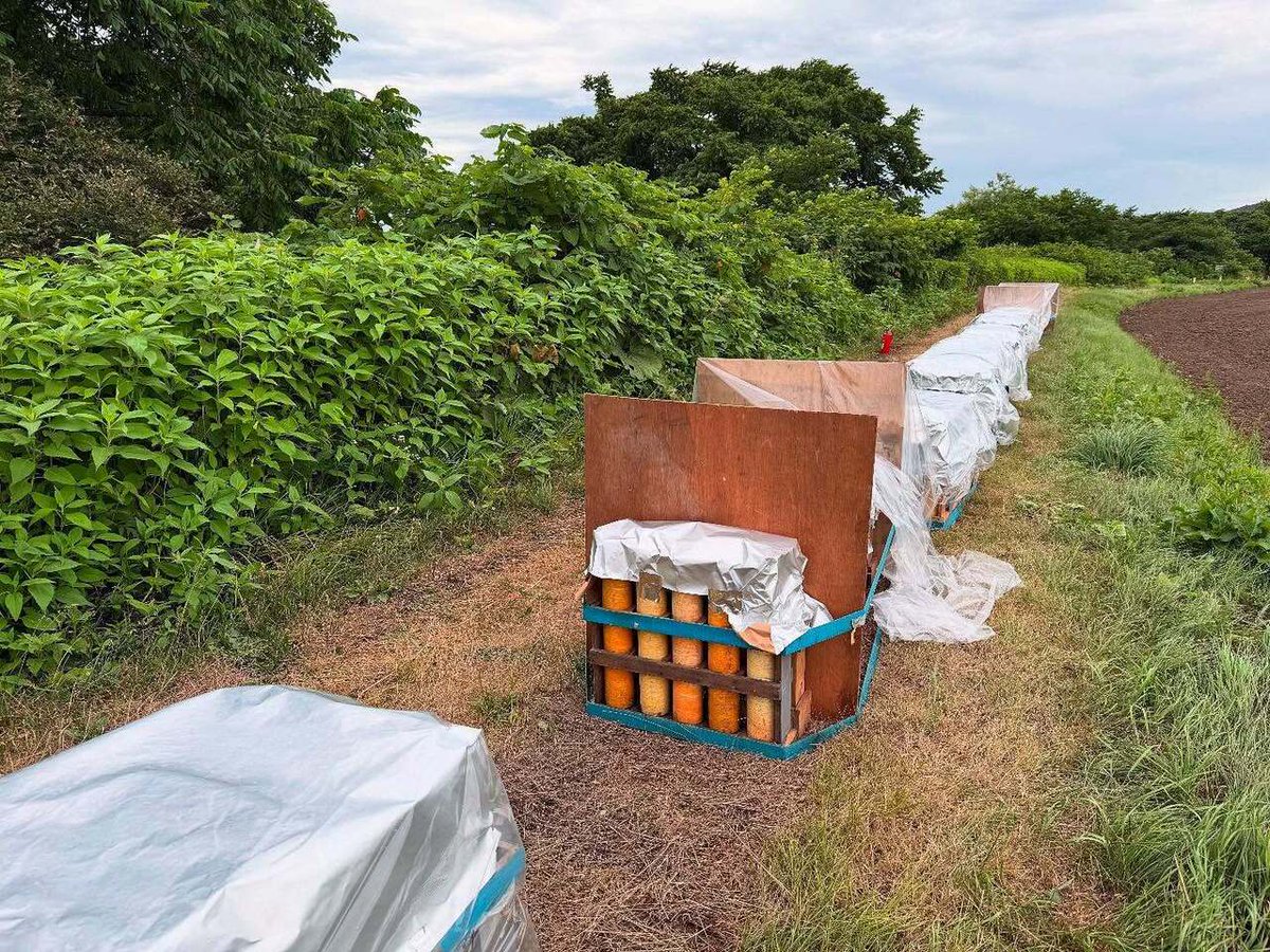 huntingnet1000's tweet image. 本日は栗山夏祭りの花火を担当させて頂きます

皆様、是非ご来場ください🙇

雨は降っていませんが、雨対策済みです

kuriyama-fes.com/summer-fes/

#湯浅火薬銃砲店　#花火　#煙火　#クレー射撃　#猟銃　#爆薬　#くりやま夏まつり instagr.am/p/DMSMhJjvWhx/