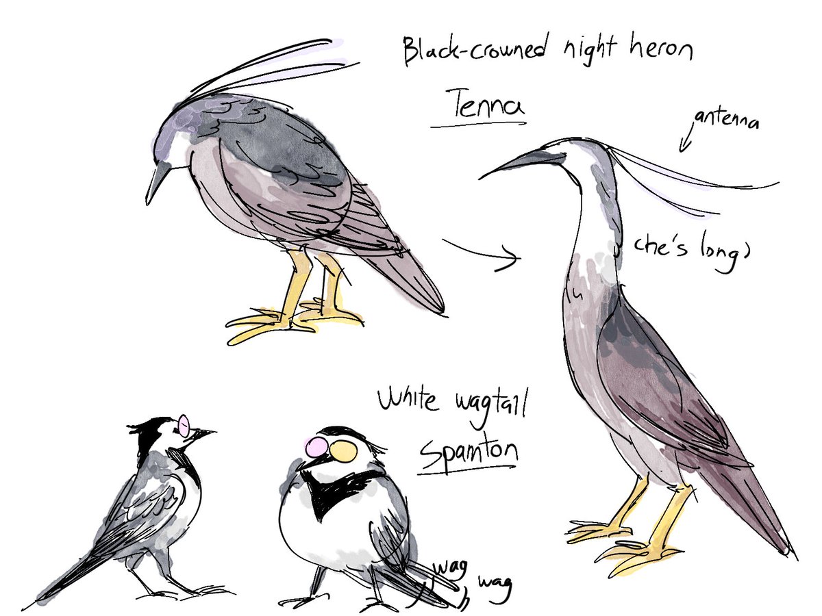 ✨nordstern tweet media