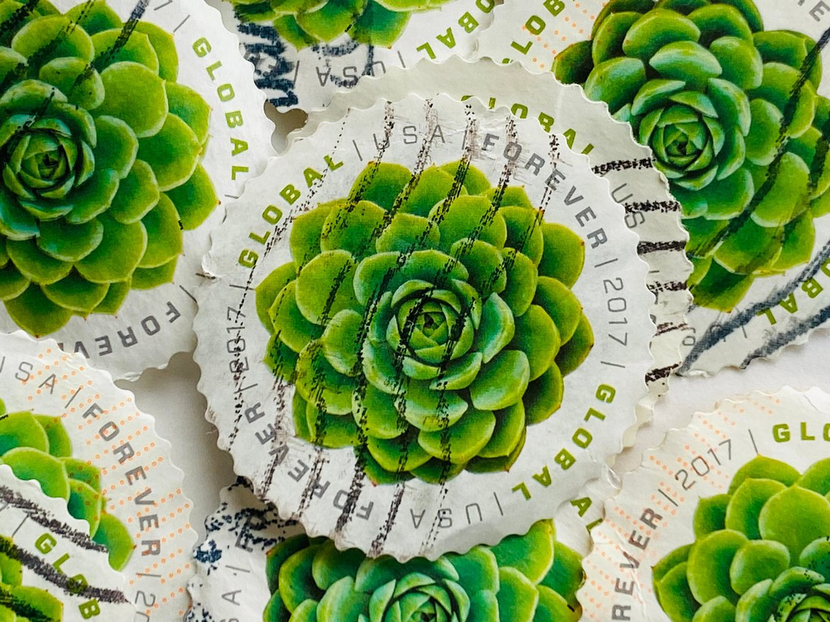 SPStamps's tweet image. Restocked Listing - USA Postage Stamps/Global Forever/Green Succulent
simplypostagestamps.etsy.com/listing/145240…
#succelents #succelentobsession #usa #usastamps #stamps #postagestamps #stampcollection #stampcollecting #philately #journalling #envelopeart #art #postagestampart #simplypostagestamps