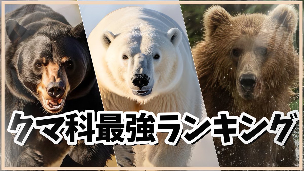RankingLabo1's tweet photo. 対決!!世界最強クマ科動物ランキング
https://t.co/o4tan11wTL https://t.co/OhNrTkLFPP