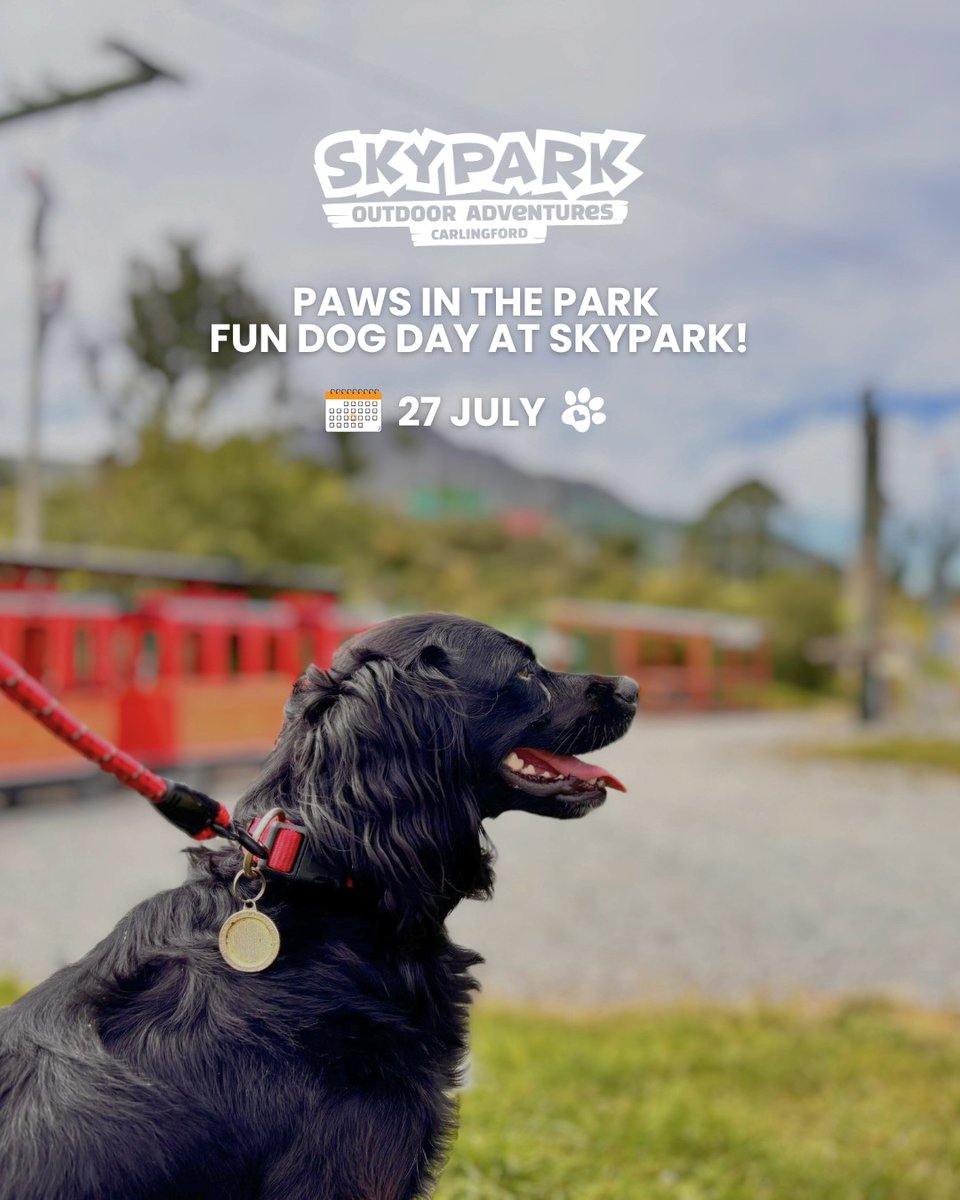 🐾 Get ready for a pawsome day at SkyPark!
Paws in the Park is coming this 27 July 

Agility games, prizes &amp; pup-friendly activities
Photo ops &amp; treats included
Prize for best-dressed dog
Outdoor fun for the whole family

Included with your Activity Pass
skypark.ie