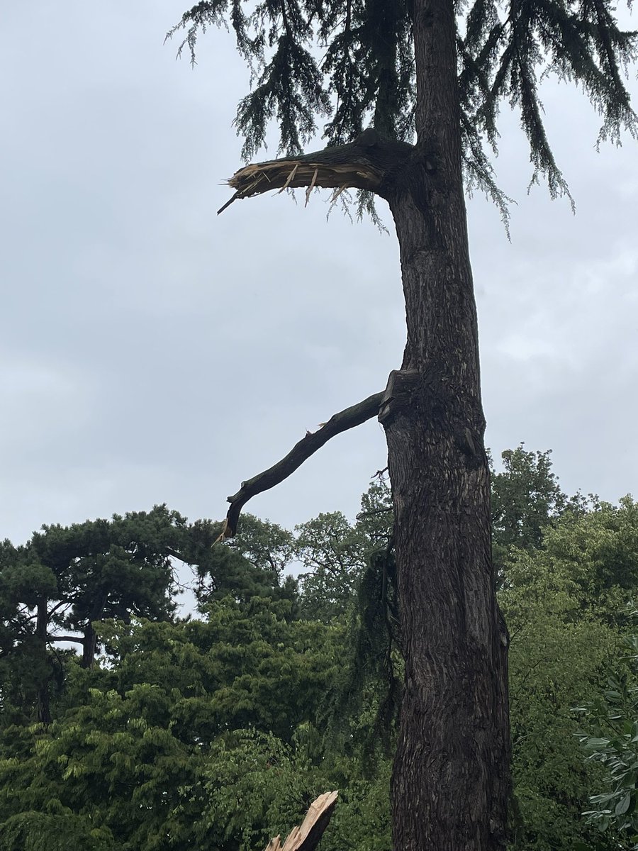 Craig Arrowsmith tweet media