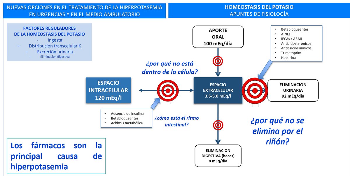 🔬 El potasio (K⁺) es vital para la excitabilidad celular.
📊 El 98% está dentro de las células.
💪 Los riñones mandan: regulan su excreción.
💉 Insulina, aldosterona y el pH → mueven el K⁺ dentro o fuera.
⚖️ Hiperkalemia o poco Hipokalemia) = 💀 riesgos serios. ✍️✍️