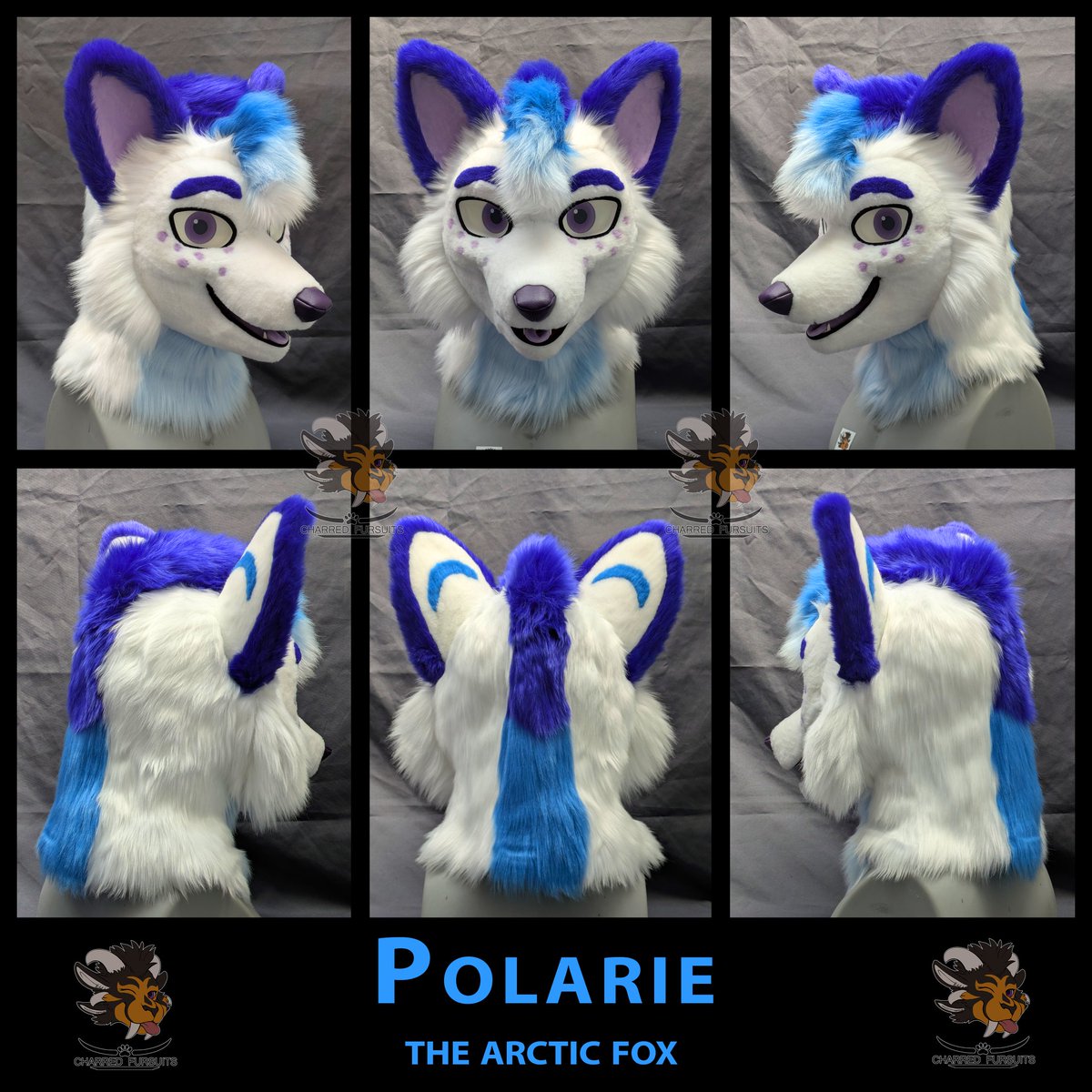 Cub π¬π§ πΊπ² (@charredfursuits) on Twitter photo Everyone welcome Polarie to the Charred Fursuits Family!
Soon to be a full digigrade suit! Everyone welcome Polarie to the Charred Fursuits Family!
Soon to be a full digigrade suit!