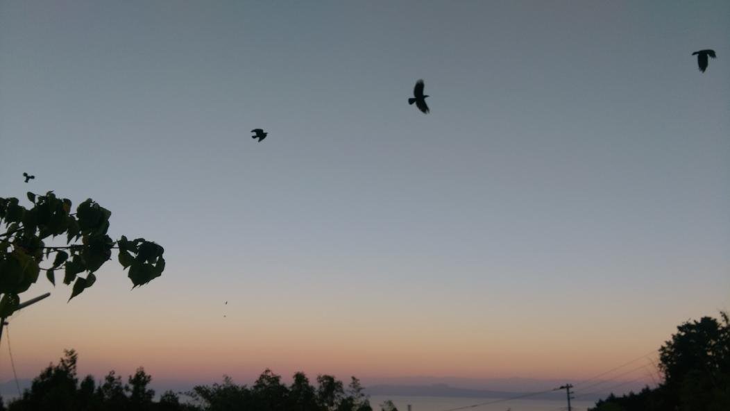 Fo0chie_'s tweet image. 10年前の写真を見返した。島原半島の夕暮れ