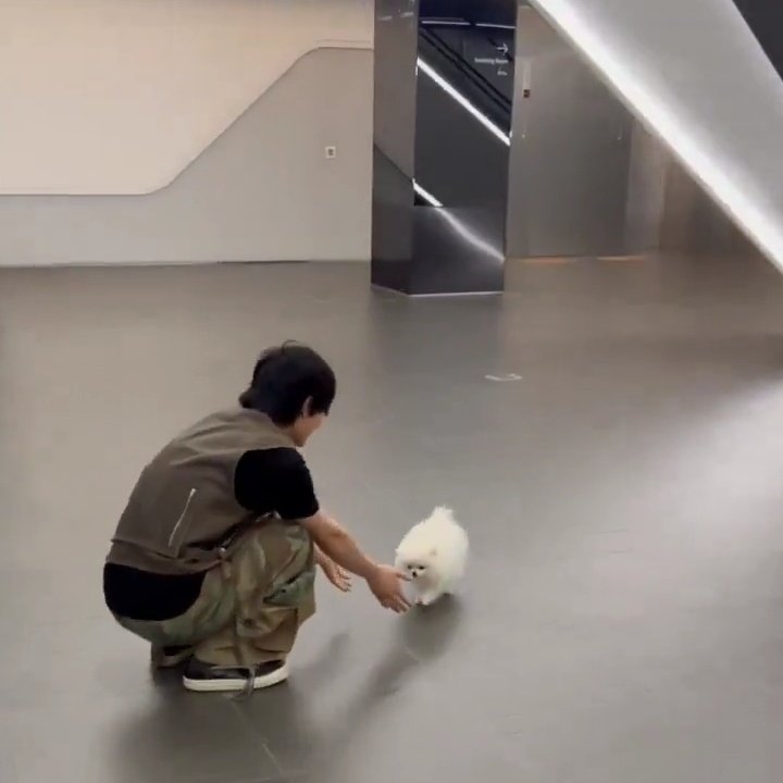 _hourlyjihoon's tweet image. 📸🐶🐾