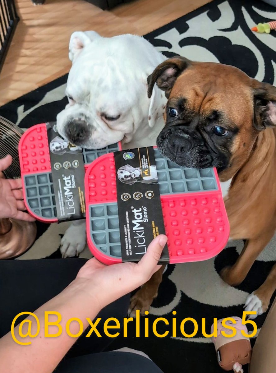 Boxerlicious5's tweet image. We had a new @lickimat each in our food delivery. Thank you @tailsdogfood We just need our human to put our favourite foods and treats on them now #Boxerdog #dogsofX