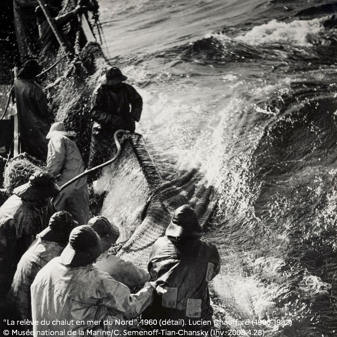 MinistereCC's tweet image. #AnnéeDeLaMer 🌊 📷 | Comment les communautés de pêcheurs ont-elles été perçues par les photographes du 19e siècle au 21e siècle ? Réponses au @museemarine avec "La pêche au-delà du cliché, inédits de la collection".
Jusqu’au 17 août 👉 swll.to/pecheaudelacli…
#LaMerEnCommun