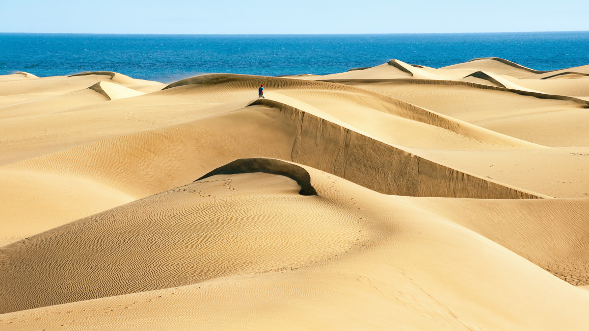 SpainInJapan's tweet image. 青い海と黄色い砂漠の見事なコントラストが美しい #マスパロマス砂漠 🏜️
昼にはヒトコブラクダの背中に乗ってどこまでも続く砂漠をお散歩🐪💕
夕方には、砂漠の向こうに沈んでいく夕日を眺める贅沢な時間を楽しんで🫶✨
👉spain.info/ja/toppu/supei…
#スペイン #スペイン大使館観光部 #カナリア諸島
