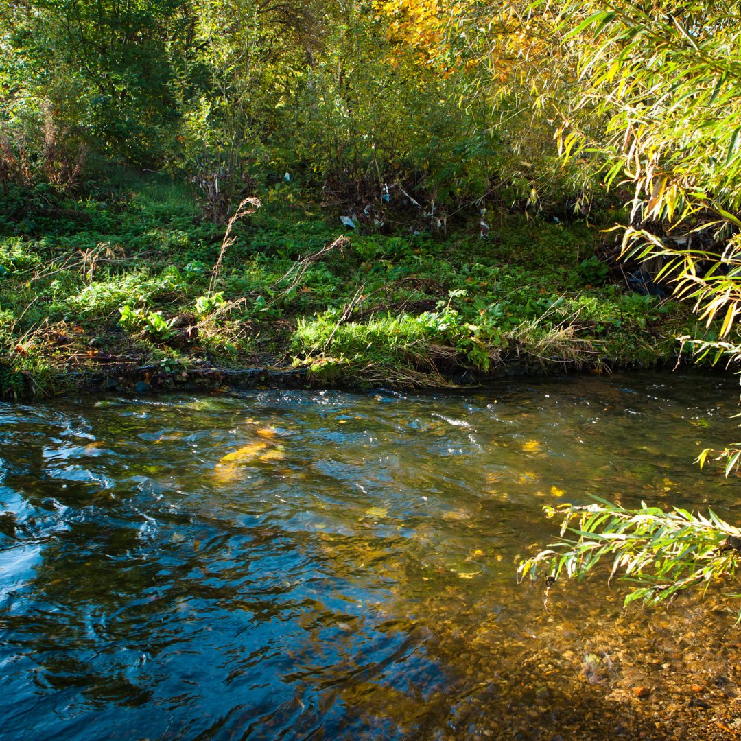 GroundworkLON's tweet image. ✅ Who can apply?
Community ≤£3k: schools, CICS, informal groups via sponsor
Project £3k–100k: constituted organisations
Must be in Crane Valley Cathcment area.
🔗 loom.ly/-uXMCfg
@CVP_CraneValley @thameswater
#cranevalleygrant #londongrants #communitygrants