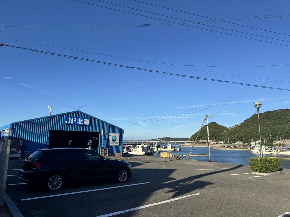 ice_skma's tweet image. 相互さんに教えてもらってからずっと気になってたわかめのお味噌汁をようやく!!お味噌汁もお刺身も本当においしくてな…お刺身小さく見えるのはお味噌汁が大きすぎるせい。