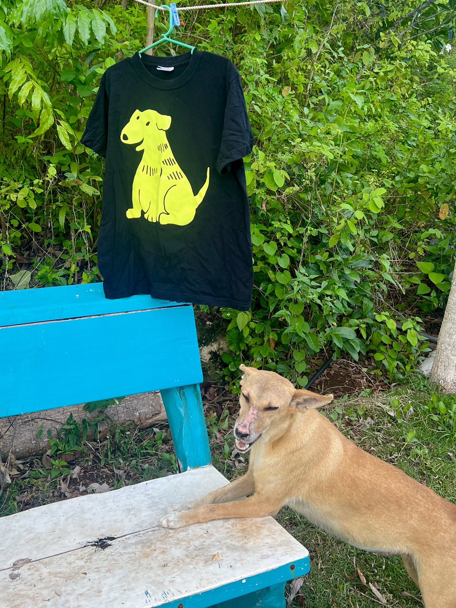 kyun_chome's tweet image. なんと!
『野良犬を着る』Tシャツの全12種類が森美術館オンラインショップで発売開始しました!!全種類売ってるのはここだけ!
全て実際に存在する野良犬たちが描かれています
実店舗では森美術館(東京)、弘前レンガ倉庫美術館(青森)で販売中です
shop.mori.art.museum/view/search?se…
